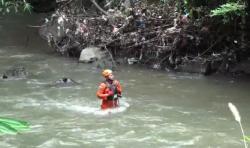 Korban Jatuh ke Sungai di Gianyar Belum Ditemukan, Pencarian Dilanjutkan