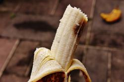 Cemburu dengan Madu, Perempuan Gigit Alat Vital Suami hingga Tak Bisa 'Bangun' Lagi