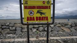 Dilarang Berenang! Pantai di Palu Jadi Habitat Buaya dan Telah Memakan Korban