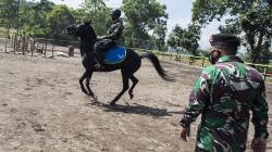 Begini Prajurit Kavaleri TNI AD Latihan Berkuda 
