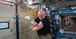 NASA Mencari Cara untuk Memberi Makan Astronot yang Menuju Mars
