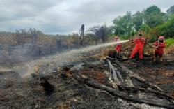 Jelang Kemarau, Sumsel Optimalkan Satgas Pencegahan Karhutla <