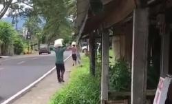 Viral Penerima Beras Miskin di Bali Naik Terios, Netizen: Malu Dong!