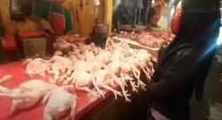 Video Harga Tinggi Pasokan Susah, Pedagang Ayam Potong di Cianjur Mogok Dagang 