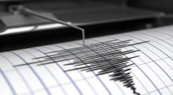 Gempa Terkini Magnitudo 3,8 Guncang Banyuwangi Jatim