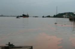Video Aliran Sungai Mahakam Tercemar Minyak Sawit Mentah