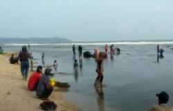 Video 2 Bocah Terseret Ombak saat Asyik Berenang di Pangandaran