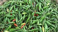 Harga Pangan Awal Pekan Mayoritas Turun, Cabai Rawit Hijau Jadi Rp40.000 per Kg