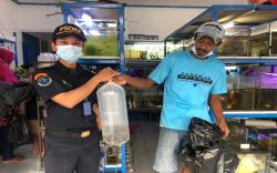 KKP Amankan 24 ‘Ikan Bajak Laut’ di Tarakan