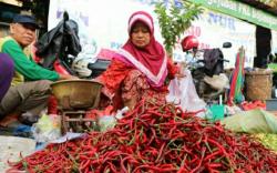 Harga Cabai di OKU Sumsel Turun Drastis, Ini Penyebabnya<