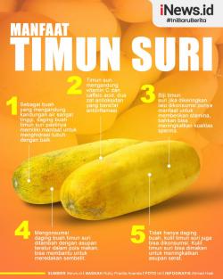 Infografis Manfaat Timun Suri