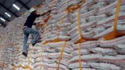 PTPN III Optimis Produksi Gula Konsumsi Capai 1,8 Juta Ton 
