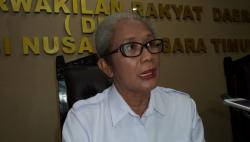 Jelang PSU Pilbup Sabua Raijua, PDIP Belum Pastikan Pengganti Pasangan Orient-Thobias Uly