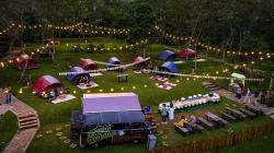 Restoran Berkonsep Perkemahan di Area Perkebunan Kopi Bawen Diminati Wisawatan