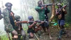 KKB Papua Punya Senjata AK47 dan M16, Ternyata Dibeli Sosok Ini