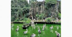 5 Wahana di Ragunan Paling Laris saat Libur Lebaran, Unik Ada Kura-Kura Pipi Merah