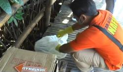 Nelayan Temukan Jasad Bayi di Muara Sungai, Diduga Korban Pembunuhan <