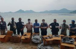Penyelundupan Ratusan Ribu Ekor Benur dari Lampung Digagalkan