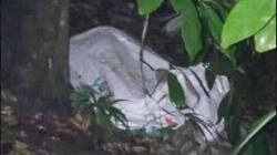 Misteri Mayat dalam Karung di Pasuruan Terungkap, Korban Tewas Dibunuh Teman Ngopi <