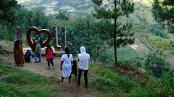 Menikmati Keindahan Hutan Pinus Kawasan Wisata Dante Pine