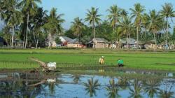 10 Kabupaten dengan Lahan Sawah Terluas di Jawa Timur, Nomor 4 Paling Ujung Lokasinya