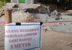 Video Semburan Lumpur Berbau Belerang di Cirebon, Hewan-Hewan Mati Bergelimpangan