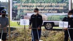 Wabup Optimistis Gorontalo Utara Jadi Sentra Industri Benih Jagung, 50 Hektare Lahan Disiapkan 