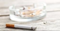 Kurangi Bahaya Kesehatan akibat Rokok, Akademisi Usul Konsep Harm Reduction