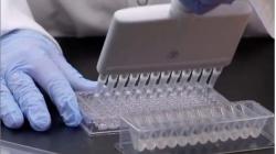 Campuran Vaksin AstraZeneca dan Pfizer Ternyata Tingkatkan Level Antibodi