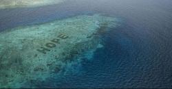 Mengintip Restorasi Terumbu Karang Terbesar di Dunia, Tersembunyi di Pulau Bontosua