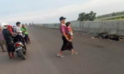 Brebes Gempar, Mayat Telanjang dan Terbakar Ditemukan di Tumpukan Jerami 