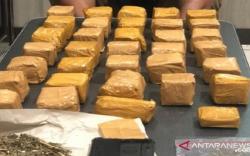 Setahun Edarkan Ganja di Sukabumi, Bandar Narkoba Ditangkap Polisi 