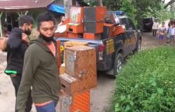 Polisi  Gerebek Kampung Narkoba di Deliserdang, Puluhan Mesin Judi Disita        