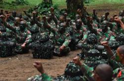 Syarat Rekrutmen Bintara TNI AD, TNI AL, dan TNI AU
