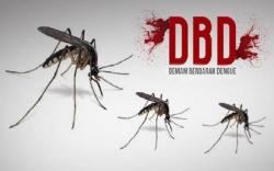 Dinas Kesehatan Kulonprogo Catat Ada 122 Kasus DBD dengan 3 Pasien Meninggal 
