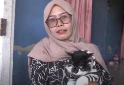 Viral Kucing Pintar di Polewali Mandar Suka Naik Motor Keliling Kota<