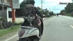 Video Viral, Kucing Gemar Boncengan Naik Motor<