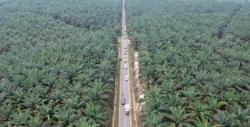 Deretan Jalur Rawan Lintas Sumatera, Waspada Jalan Rusak, Penampakan hingga Perampokan 