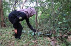 BKSDA Jogja Lepas 6 Ekor Ular Sanca Kembang di Kawasan Suaka Margasatwa Sermo<