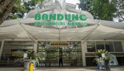Ditutup 14 Hari, Kebun Binatang Bandung Buka Donasi untuk Pakan Satwa<