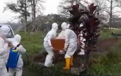 Miris, Seorang Ibu Hamil di Sumedang Meninggal akibat Positif Covid-19