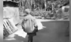 Video Viral Kakek di Jember Bunuh Tetangga Gara-Gara Terganggu Suara Batuk