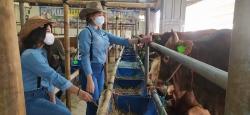 3 Golongan Penerima Daging Qurban yang Perlu Diketahui