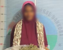 Simpan Ganja Kering Milik Suami Seberat 500 Gram, Perempuan Ini Ditangkap Polisi