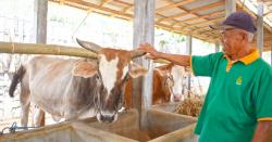 Makna Qurban Idul Adha Bagi Umat Islam, Habluminallah dan Habluminannas