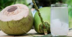 Viral Susu Beruang dan Air Kelapa untuk Covid-19, Ahli Gizi Ungkap Hal Penting Ini