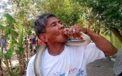 Sesumbar Kebal dari Bisa Ular, Pria Lansia Ini Tewas Dipatuk Kobra