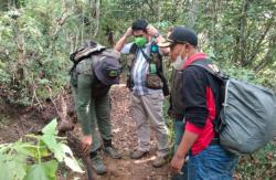 Diburu dengan Anjing, Lutung Jawa Ditemukan Tinggal Ekor di Gunung Butak Malang