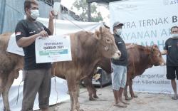 Grup Astra Serahkan 2.379 Hewan Kurban Ke 34 Provinsi