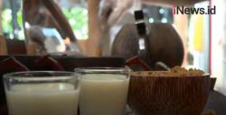 Video Kawah Daun Minuman Tradisional untuk Penderita Kolestrol